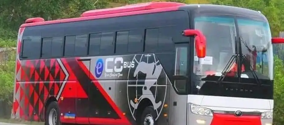 Eco Bus red and black coach on the highway